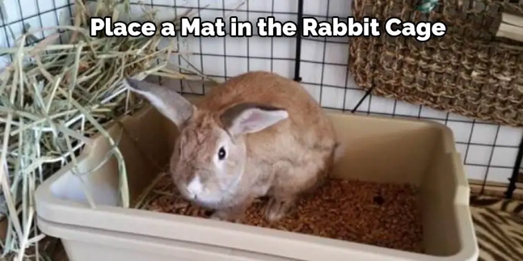 Place a Mat in the Rabbit Cage