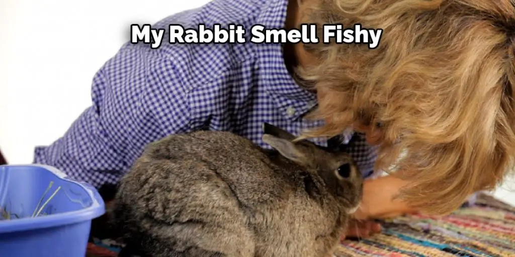 My Rabbit Smell Fishy