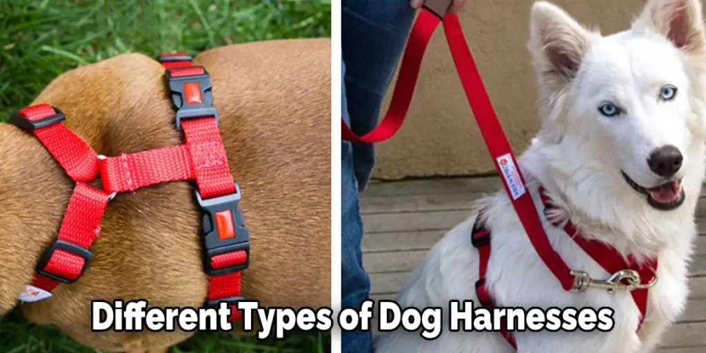 Different Types of Dog Harnesses