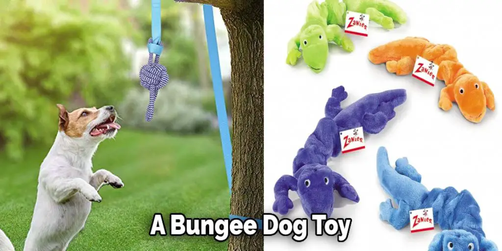 A Bungee Dog Toy