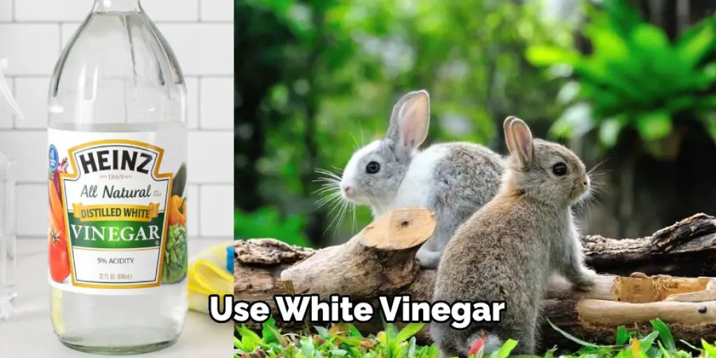 Use White Vinegar
