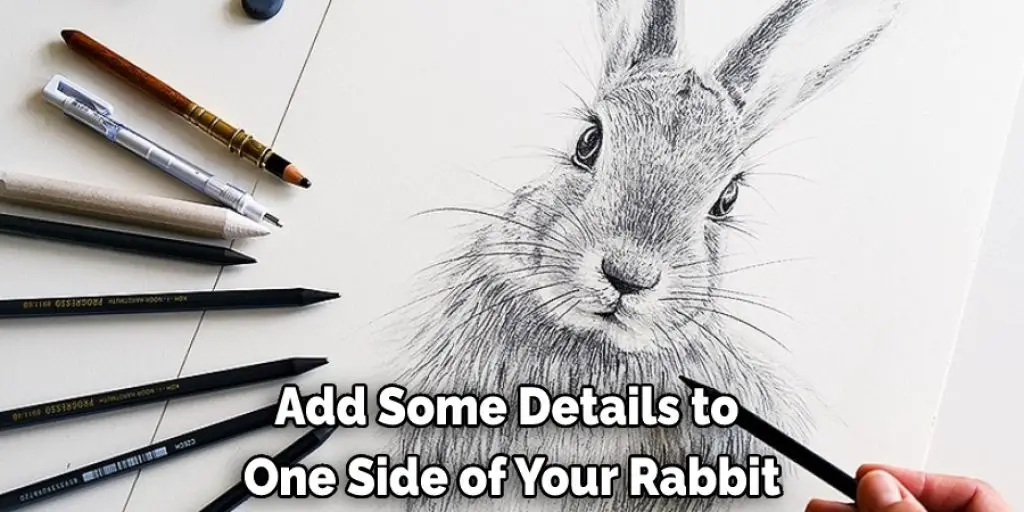 Add Some Details to  One Side of Your Rabbit
