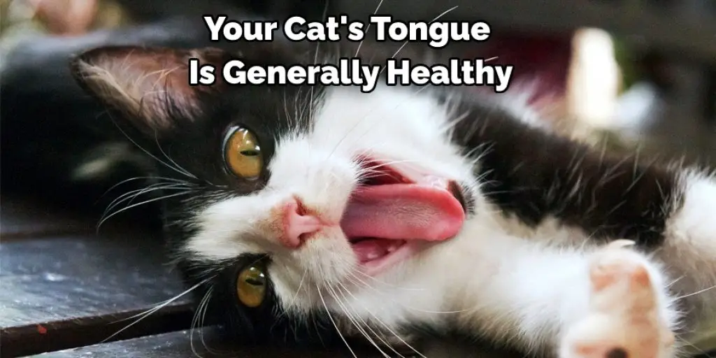 Your Cat's Tongue  Is Generally Healthy