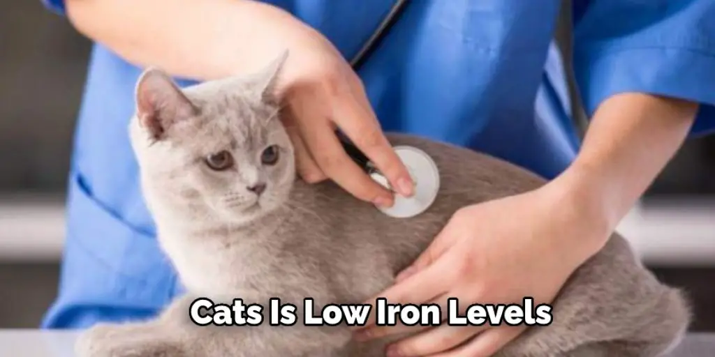 Cats Is Low Iron Levels