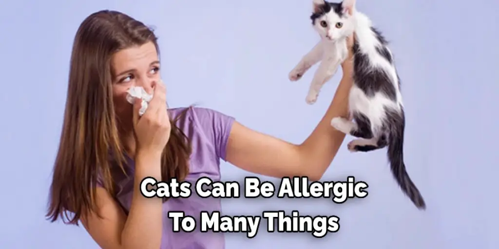 Cats Can Be Allergic To Many Things