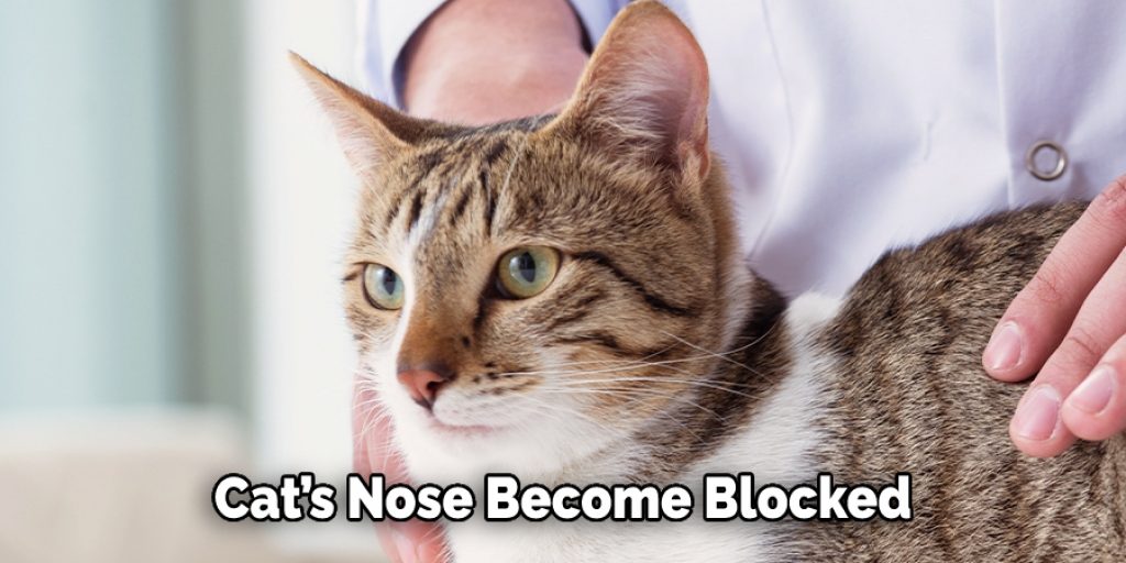 Cat’s Nose Become Blocked