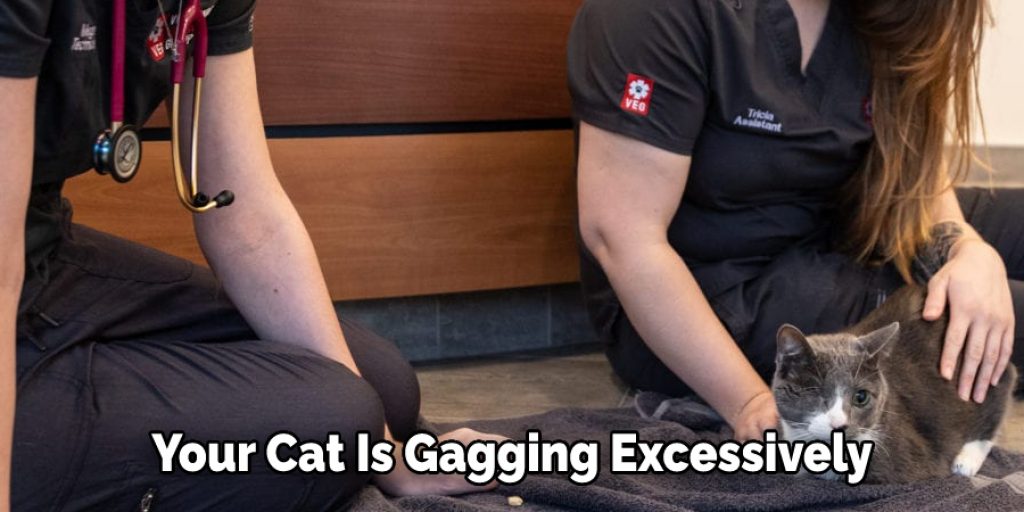 your cat is gagging excessively