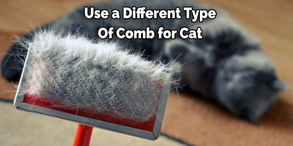  Use a Different Type Of Comb for Cat