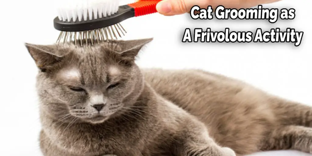 Cat Grooming as  A Frivolous Activity