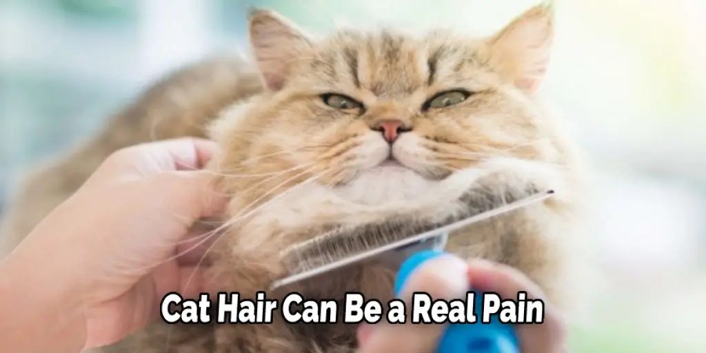 Cat Hair Can Be a Real Pain