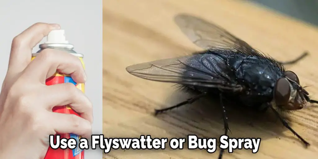  Use a Flyswatter or Bug Spray