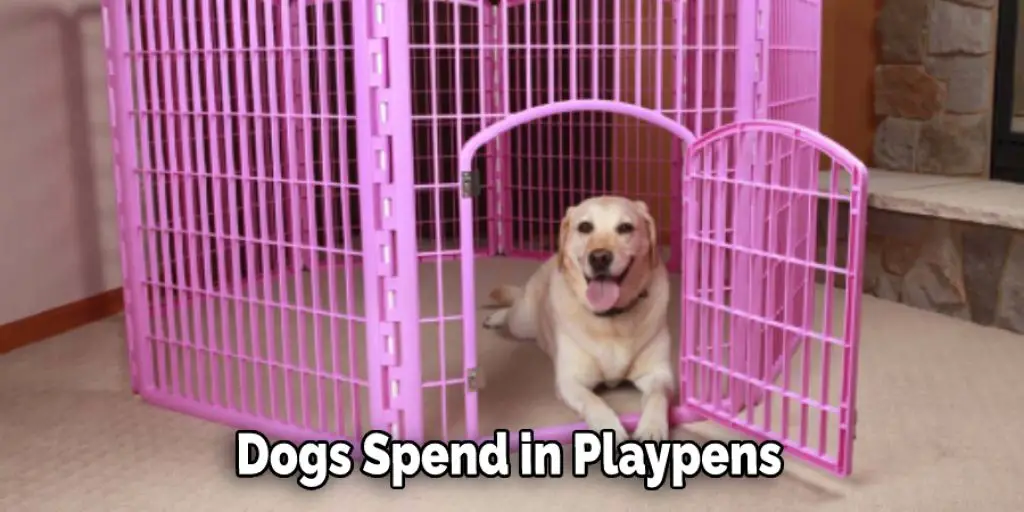  Dogs Spend in Playpens