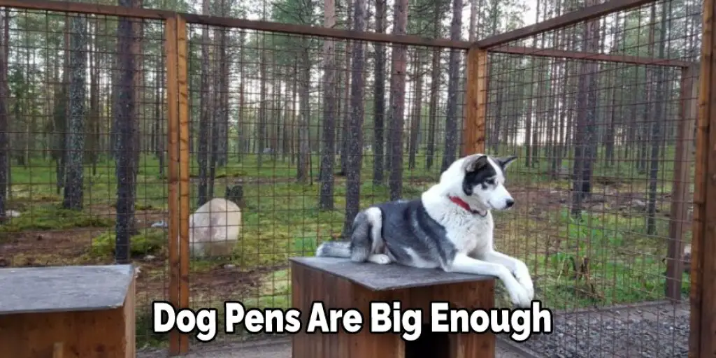 Dog Pens Are Big Enough