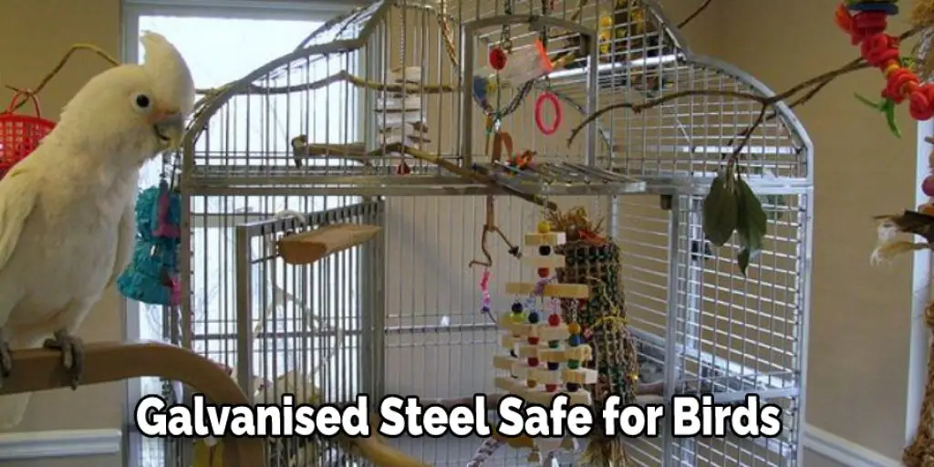 Galvanised Steel Safe for Birds