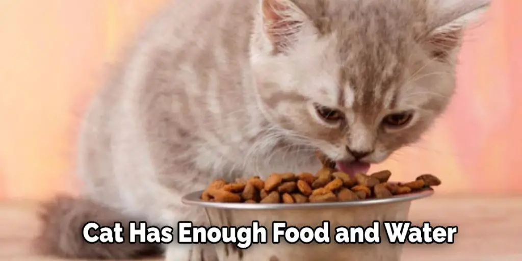 Cat Has Enough Food and Water