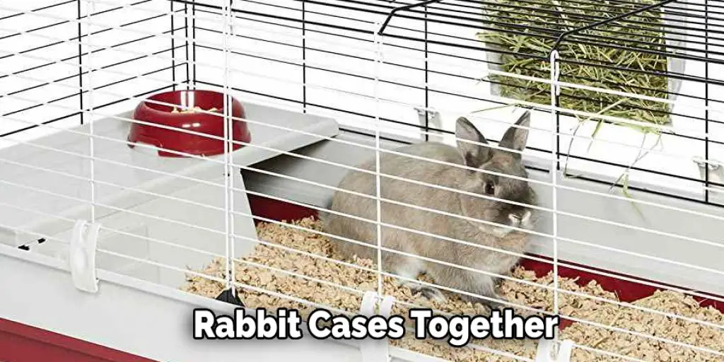 Rabbit Cases Together