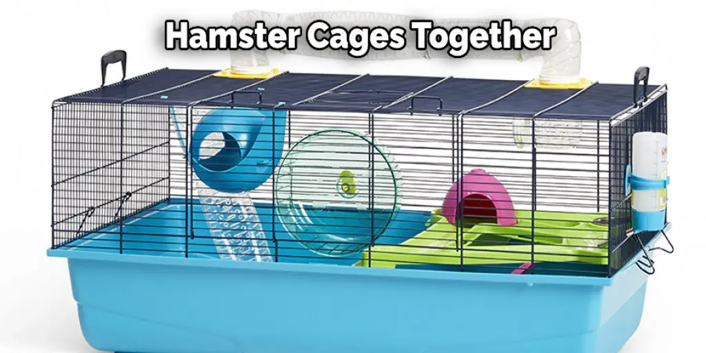  Hamster Cages Together