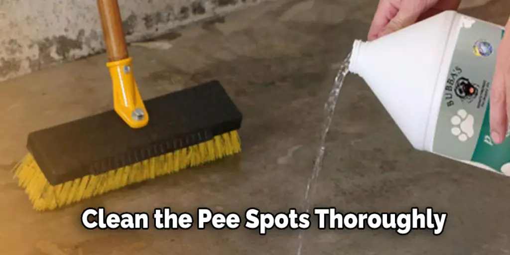 Clean the Pee Spots Thoroughly