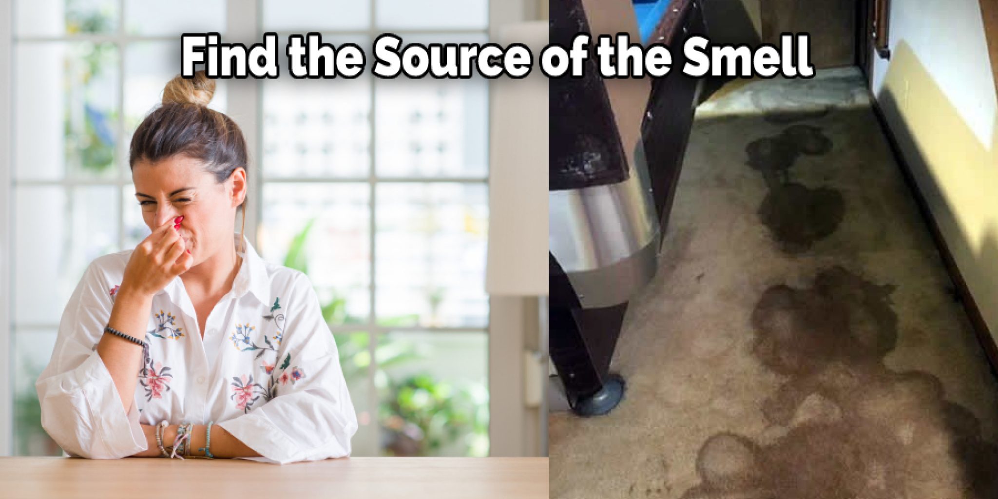 How to Stop Pet Rats from Peeing Everywhere 10 Tips (2024)