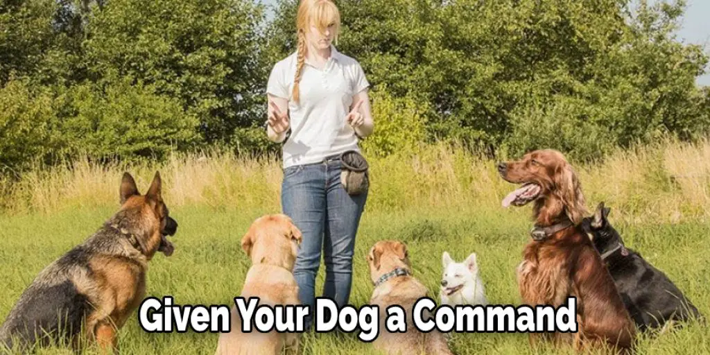 Given Your Dog a Command