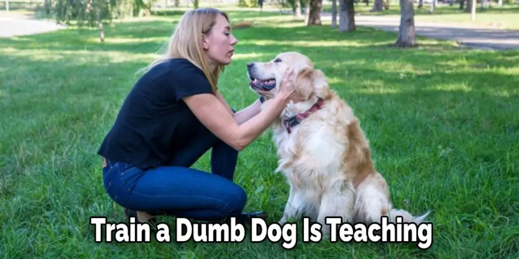 Train a Dumb Dog Is Teaching