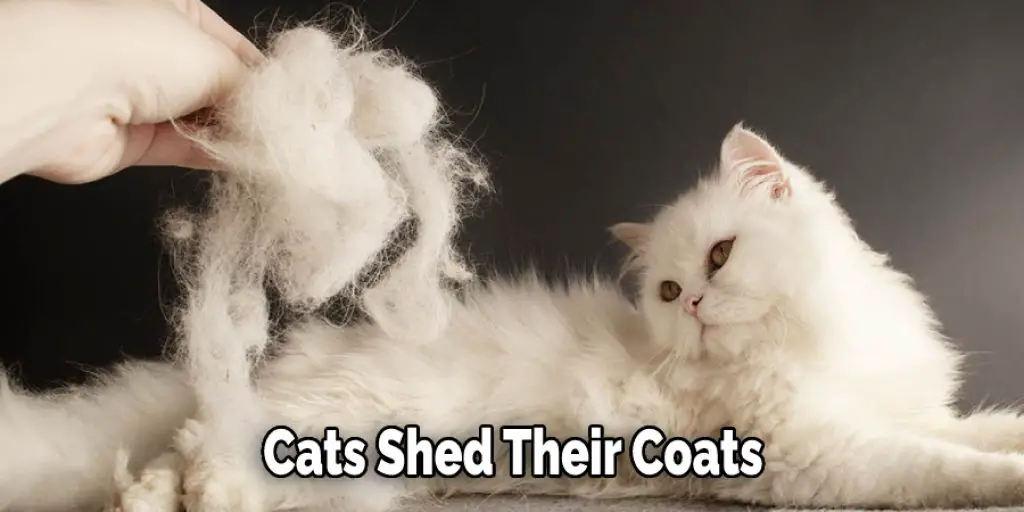 Cats Shed Their Coats