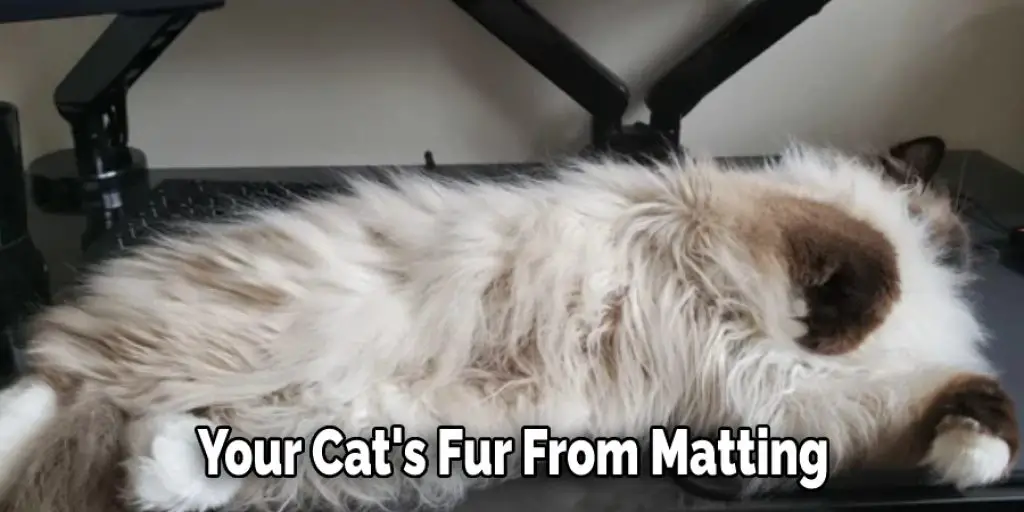 Your Cat's Fur From Matting