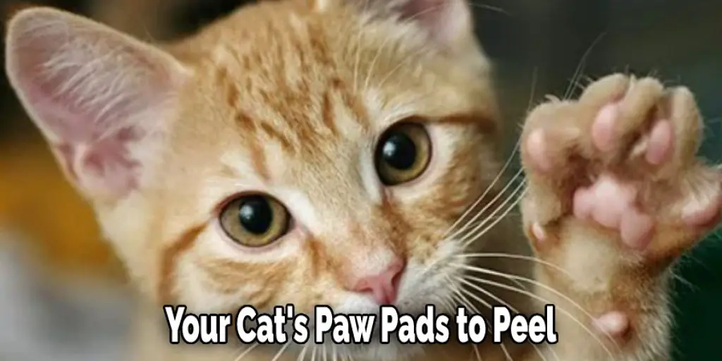 Your Cat's Paw Pads to Peel