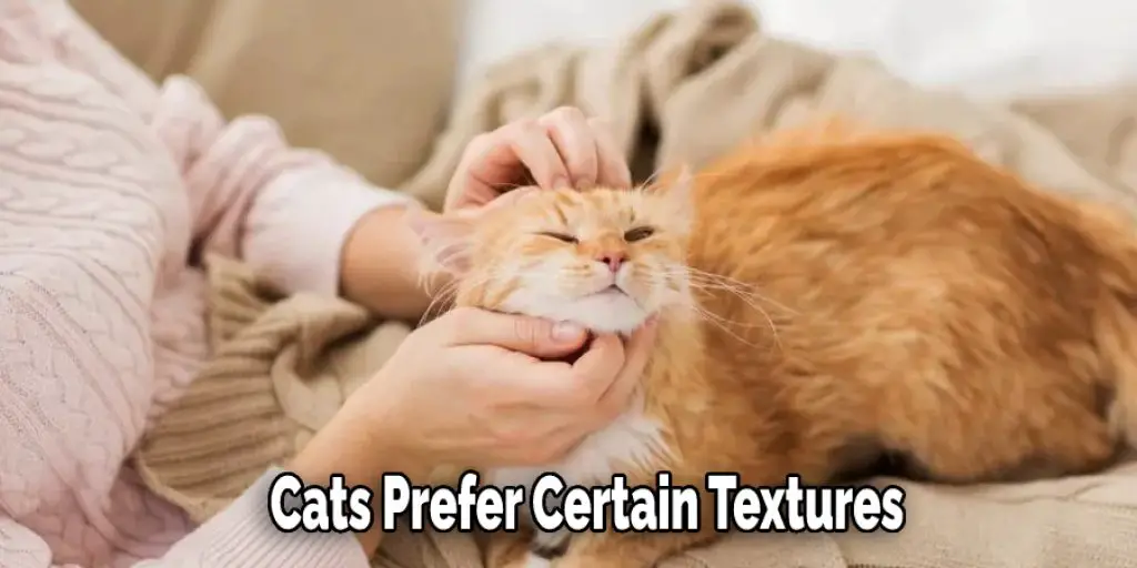 Cats Prefer Certain Textures