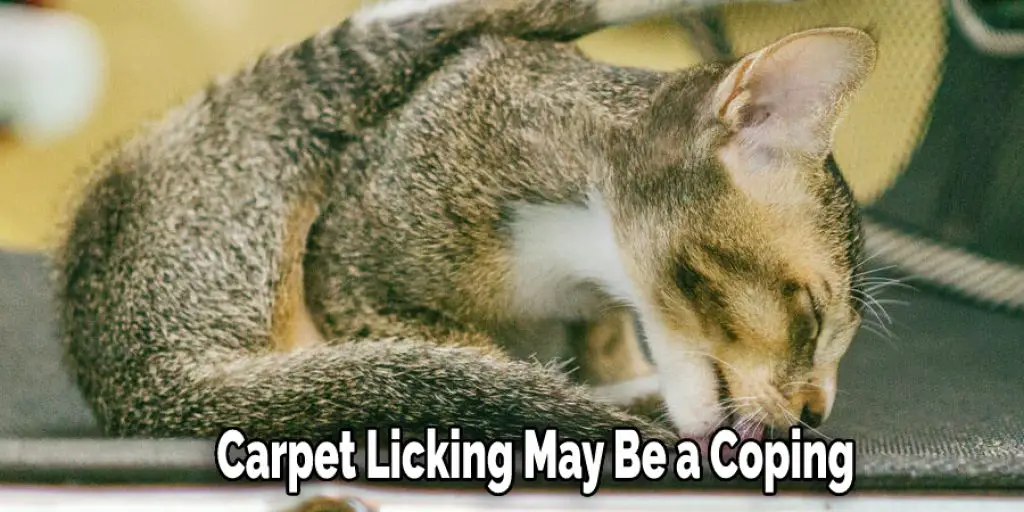  Carpet Licking May Be a Coping