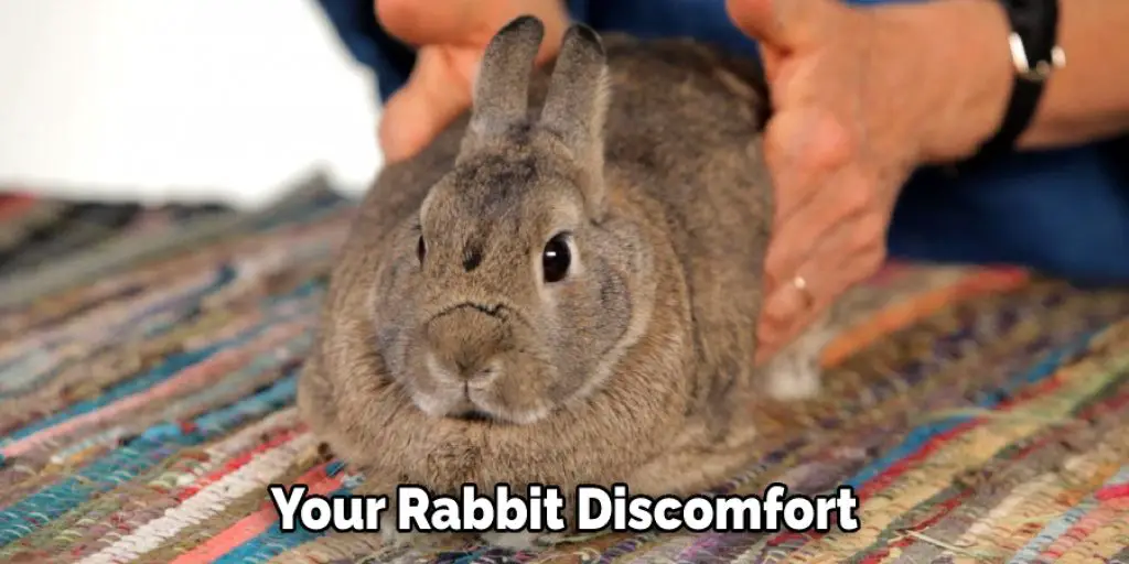  Your Rabbit Discomfort