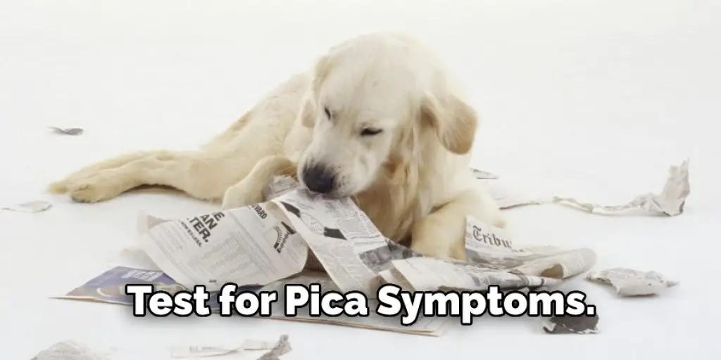 Test for Pica Symptoms.