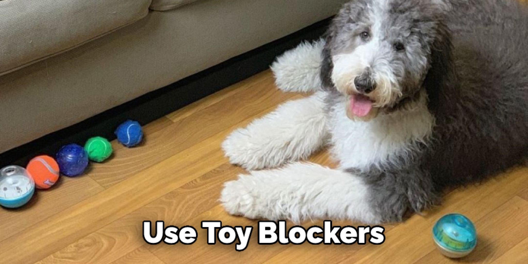 How to Keep Dog Toys from Going Under Couch 10 Effective Tips