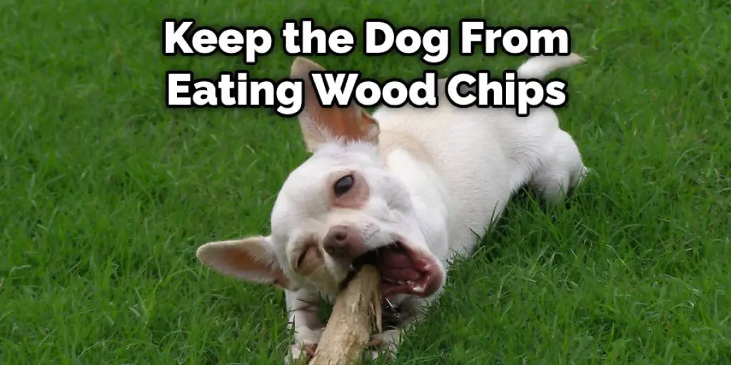 Keep the Dog From  Eating Wood Chips