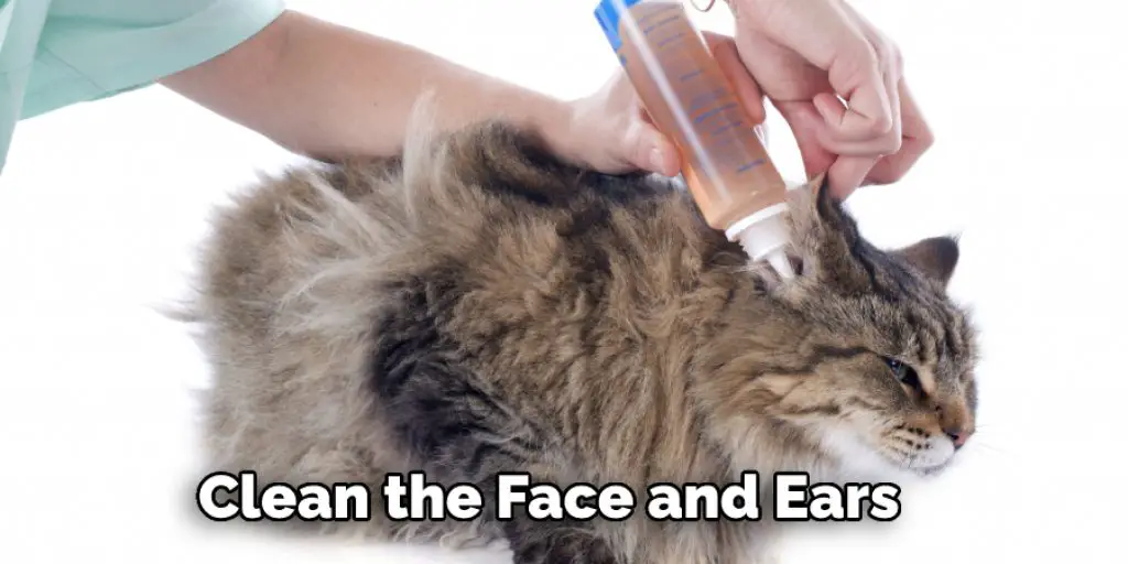 Clean the Face and Ears 