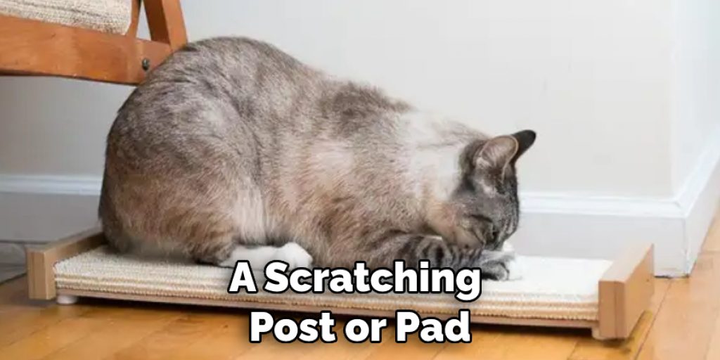 A Scratching Post or Pad