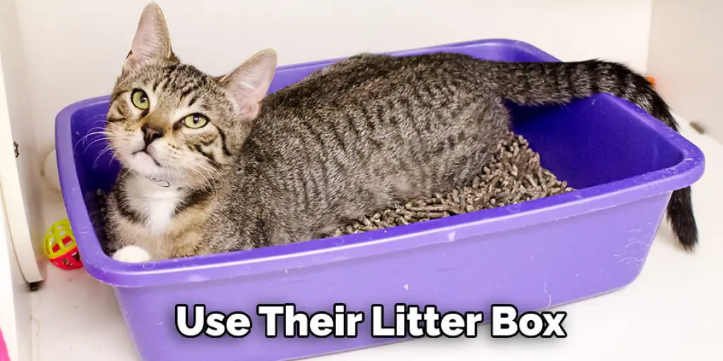 Use Their Litter Box