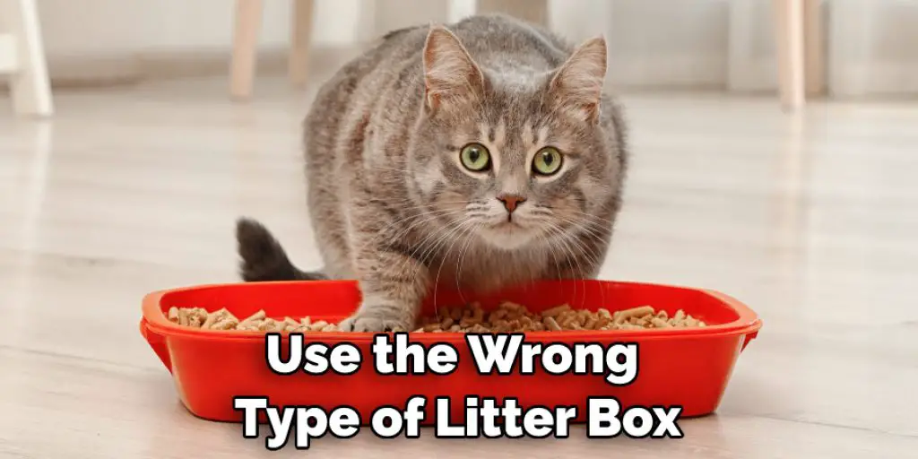 Use the Wrong  Type of Litter Box