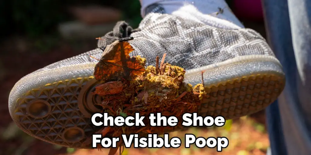 Check the Shoe  For Visible Poop