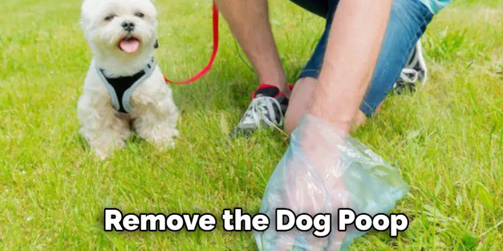 Remove the Dog Poop
