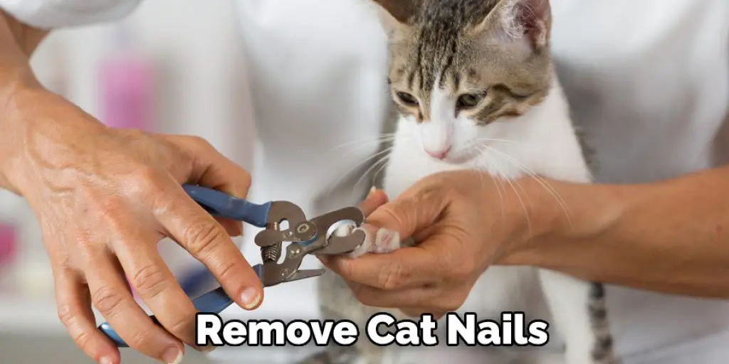 Remove Cat Nails