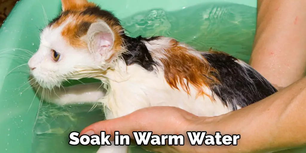 Soak in Warm Water 