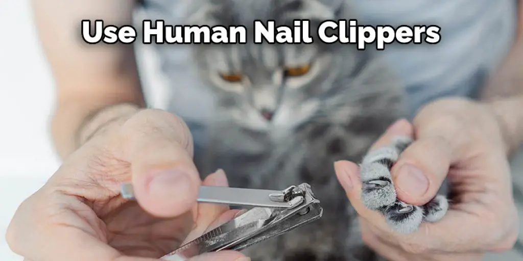 Use Human Nail Clippers