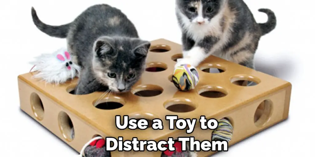 Use a Toy to Distract Them 