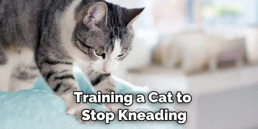 Training a Cat to  Stop Kneading