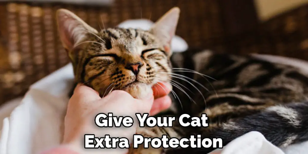 Give Your Cat  Extra Protection
