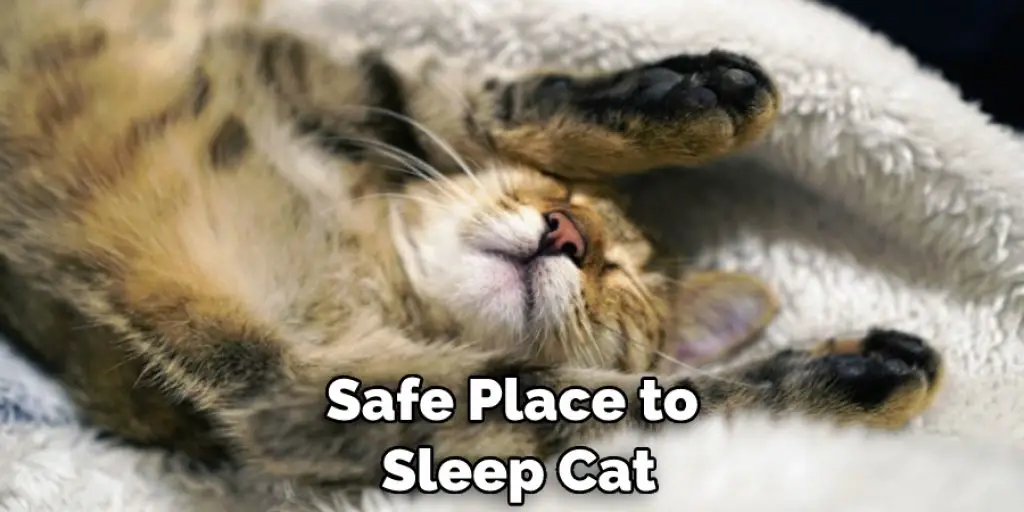 Safe Place to Sleep Cat
