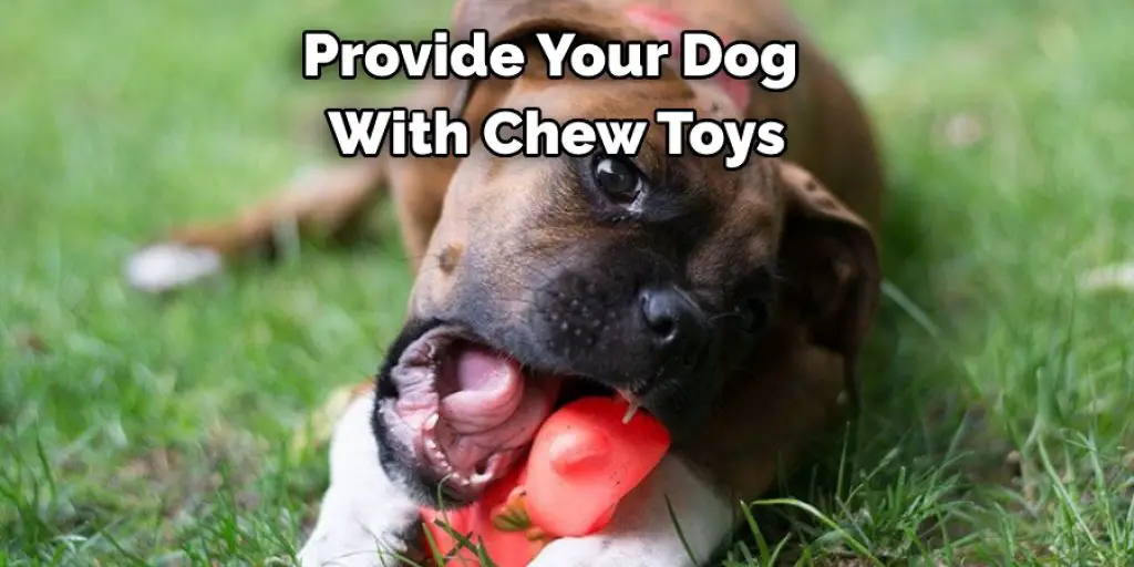 Provide Your Dog  With Chew Toys