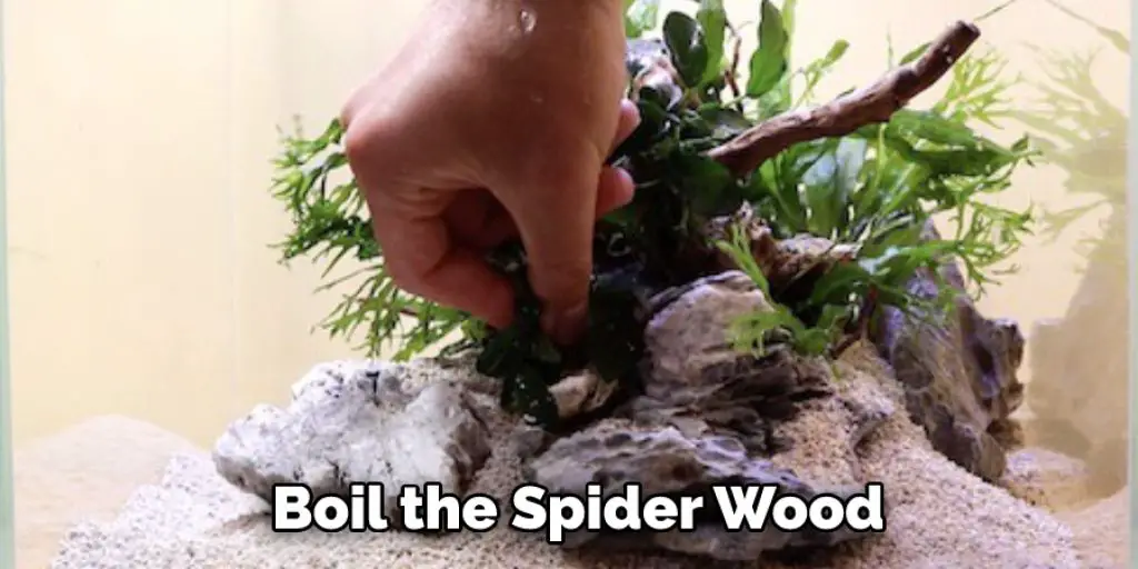  Boil the Spider Wood