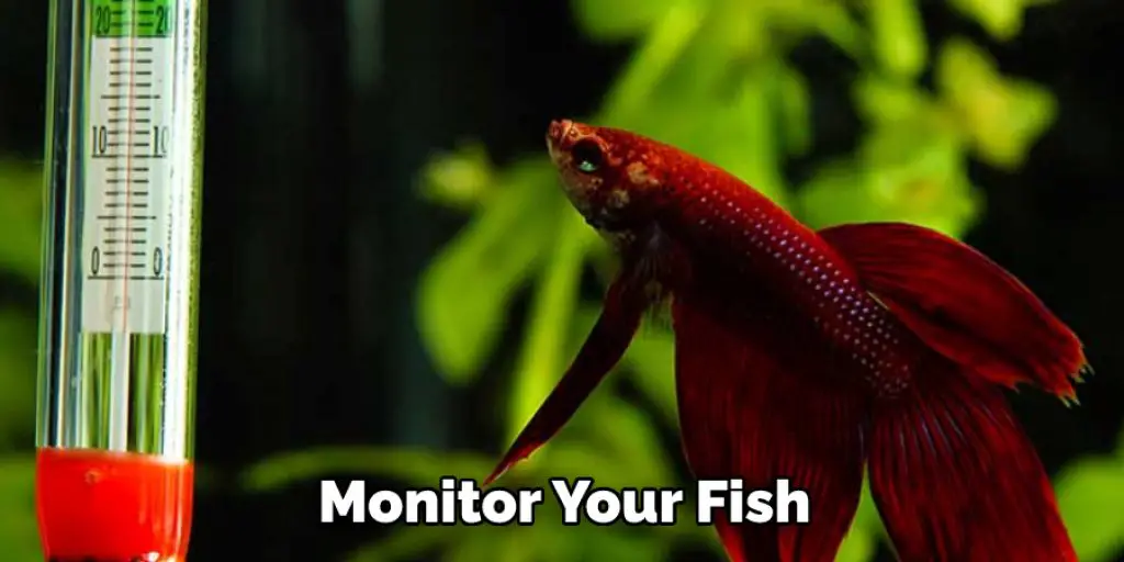 Monitor Your Fish